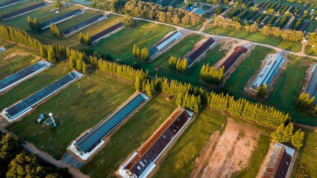 Agricultural Solar PV System 1